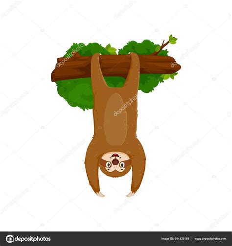 Cartoon Funny Sloth Character Wearing Goofy Grin Dangles Upside Tree ...