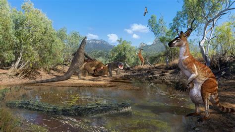 Queensland fossils shed light on megafauna extinction | Mirage News