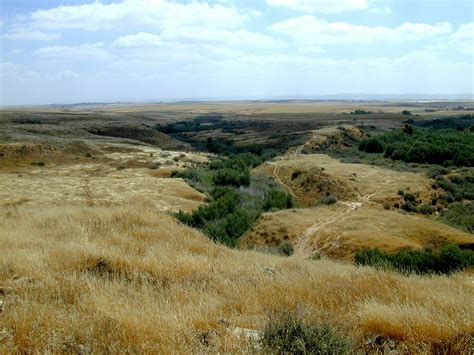 Gerar, la ciudad antigua de la Edad de Bronce