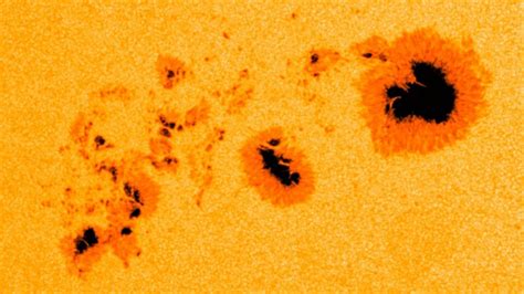 NASA SVS | Fast-Growing Sunspots