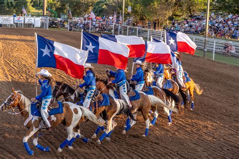 10 Facts About the Texas State Flag