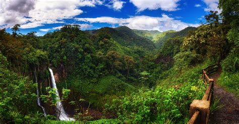 Eco Resorts and Centers of Biological Research in Costa Rica | Ecotourism