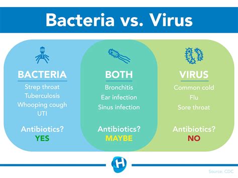 When do I need an antibiotic? Bacterial vs. Viral Infections