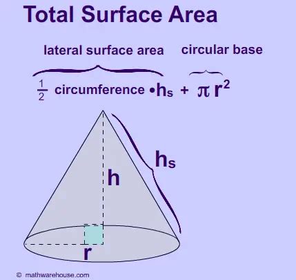 Pictures of surface area of cone. free images that you can download and ...