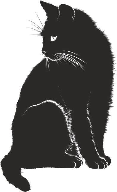 Download Cat, Pet, Shadow. Royalty-Free Vector Graphic - Pixabay