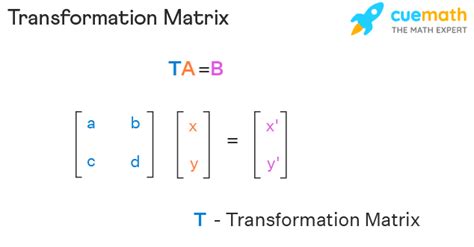 Transformation Matrix - Definition, Formula, Applications, Examples