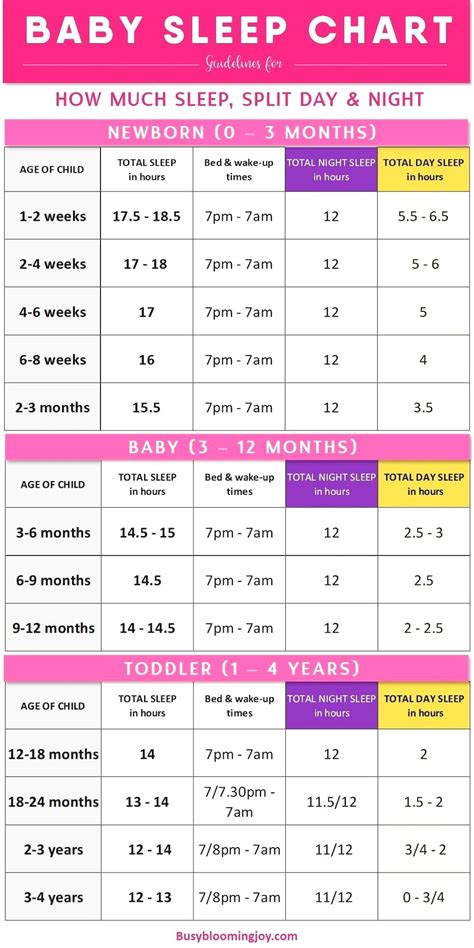 Puppy Sleep Schedule By Age: A Guide For New Puppy Owners In 2023 ...