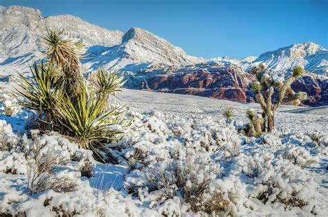 Winter - Red Rock Canyon Photograph by Mark Christian