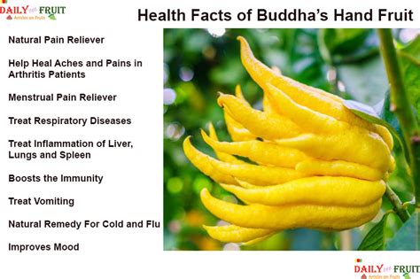 Interesting Health Facts On Buddhas Hand Fruit - dailyonefruit