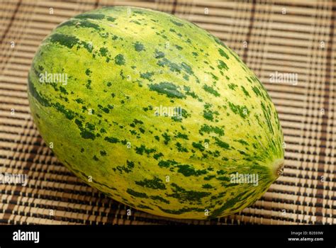 Christmas Melon a.k.a Santa Claus Melon Stock Photo - Alamy