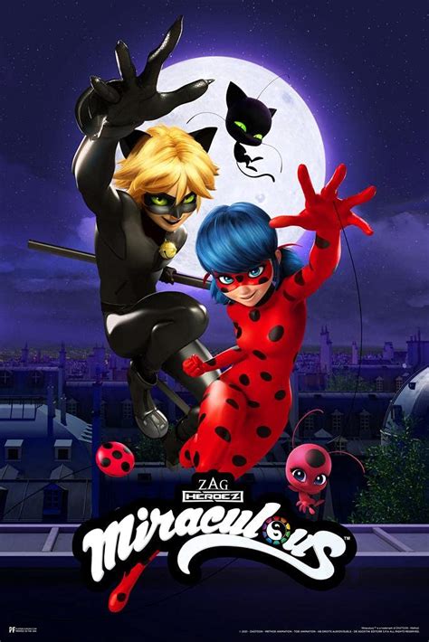 Buy Miraculous Ladybug and Cat Noir Team Up Cartoon TV Series Movie ...