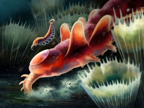 “Weird Wonder” Fossil Discovery Adds Piece to Puzzle of Arthropod Evolution