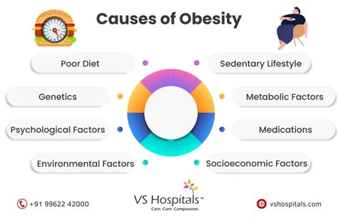 10 Best Obesity Causes Symptoms and Treatment | VS Hospitals