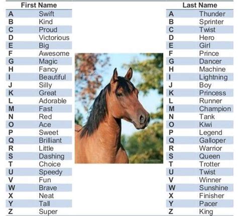 Horse name | Horse names, Funny horses, Horses