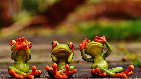 Cute Green Frogs With Red Eyes 3 D Wallpaper Hd 3840x2160 ...