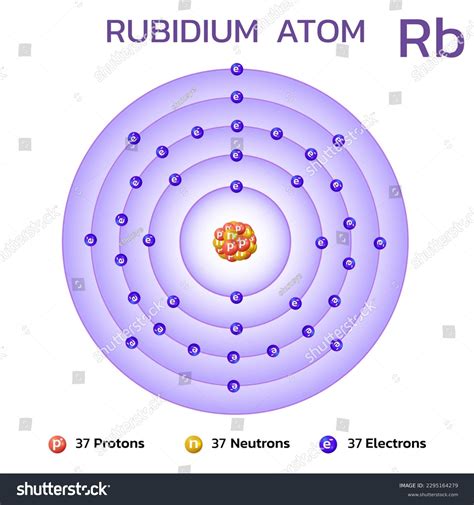 Rubidium Atomic Structureconsists 37 Protons 37 Stock Vector (Royalty ...