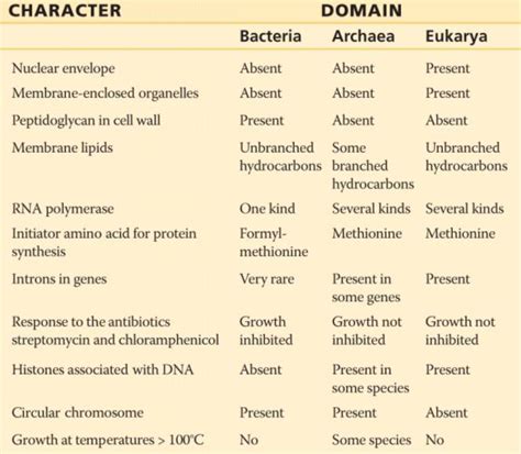 domains.html 27_T02DomainComparison-L.jpg