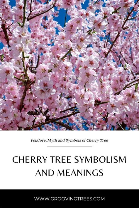 Cherry tree symbolism and meanings – Artofit