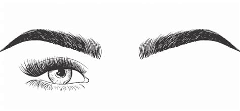 How to Consider Eyebrow Threading Shapes - | Chic Lash Boutique