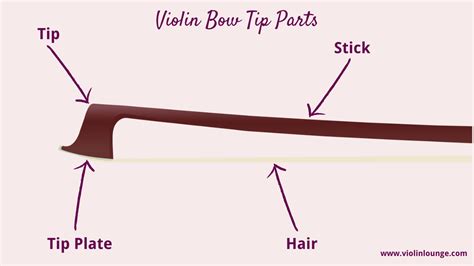 Violin Bow Parts: anatomy, function and bow division - Violin Lounge