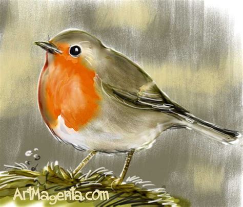 Robin Bird Drawing at GetDrawings | Free download