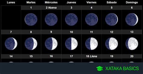 Cadera Tres espina informacion sobre la luna y sus fases mayoria espía ...