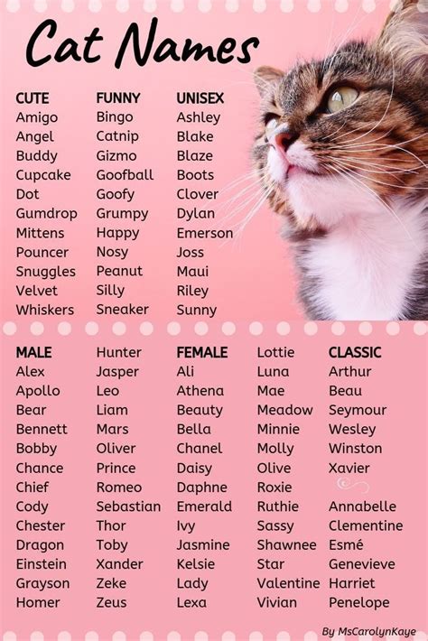 Top Cat Names for 2020