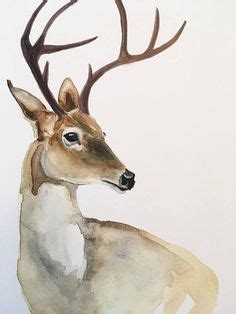 39 Best Watercolor Deer ideas | watercolor deer, deer, animal art