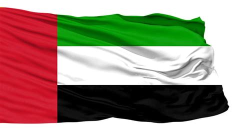 1920x1080px | free download | HD wallpaper: flag, uae flag, united arab ...