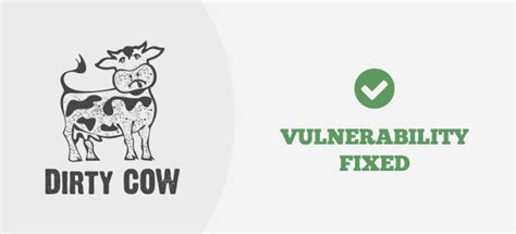 Dirty COW vulnerability fixed - Knoweb