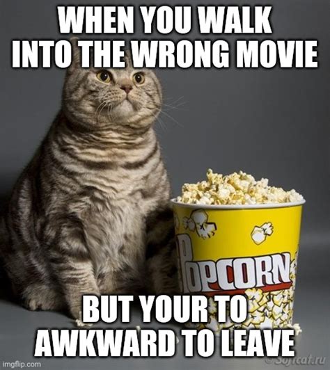 Cat eating popcorn Memes - Imgflip