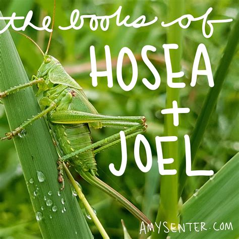 Printable Bible Study for the Book of Hosea and Joel