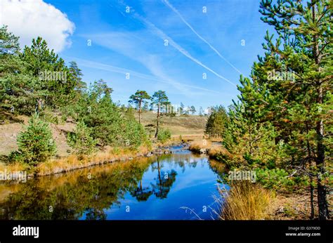 View at small river at Zlatibor mountain in Serbia Stock Photo - Alamy