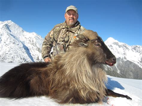 Himalayan Tahr Hunting - Manuka Point Lodge