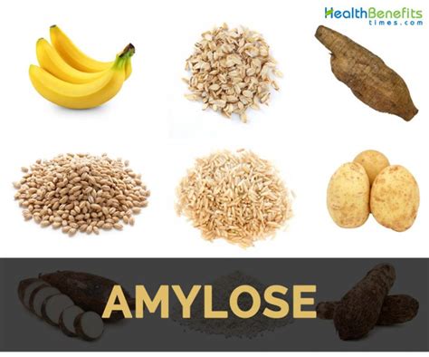 Amylose Facts and Health Benefits | Nutrition