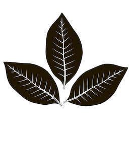 Tobacco Leaf Vector at Vectorified.com | Collection of Tobacco Leaf ...