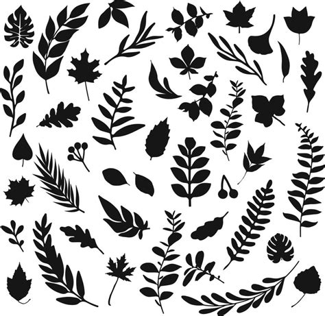 Black leaf inked silhouettes set. vector isolated illustration 10756583 ...