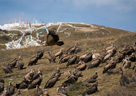 10 Extraordinary Burial Ceremonies From Around the World