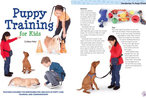 12 All-Time Best Training Dog Books For Kids | Scout Knows