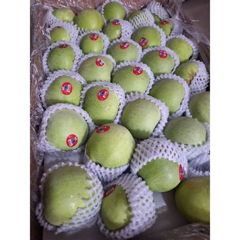 Jual apel hijau apel green smith per 1kg | Shopee Indonesia