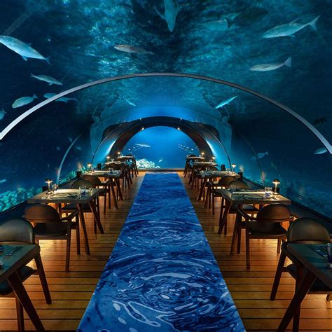 6 Underwater Restaurants to Visit in the Maldives in 2024