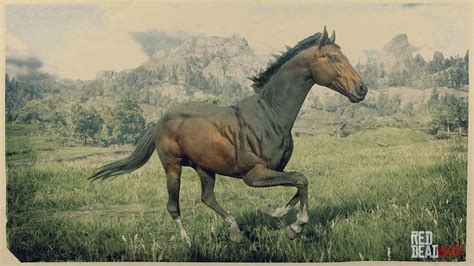 Turkoman Horse | RDR2 Horse Breeds Coats, Locations & Stats