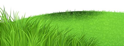 Grass Deco PNG Clipart Picture for Your Designs