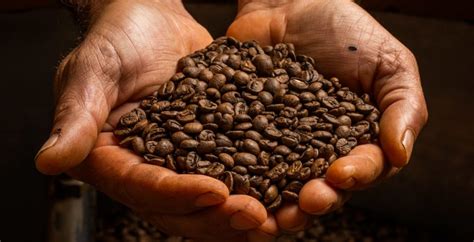 12 Brazilian coffee Geographical Indications you should know about ...