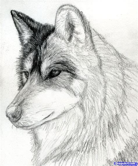 How to Draw Wolves With Emotonal Faces - Burch Agge1977