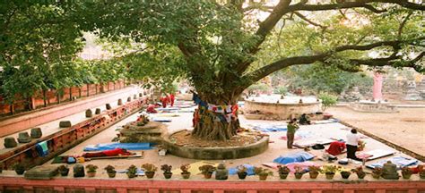 Tourist Places in Bodh Gaya Bihar |Bodh Gaya Temple Location ,Tourist ...