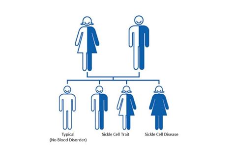 What is Sickle Cell Trait? | CDC