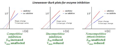 Enzyme inhibitors with examples