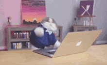 Cat Typing Fast GIF | GIFDB.com