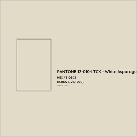 About PANTONE 12-0104 TCX - White Asparagus Color - Color codes ...